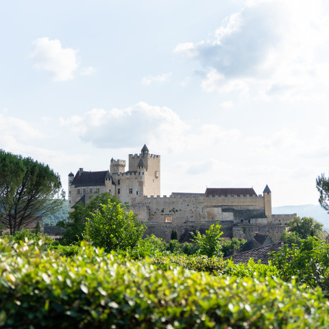 beynac-chateau-dordogne-villages-beaux.jpg